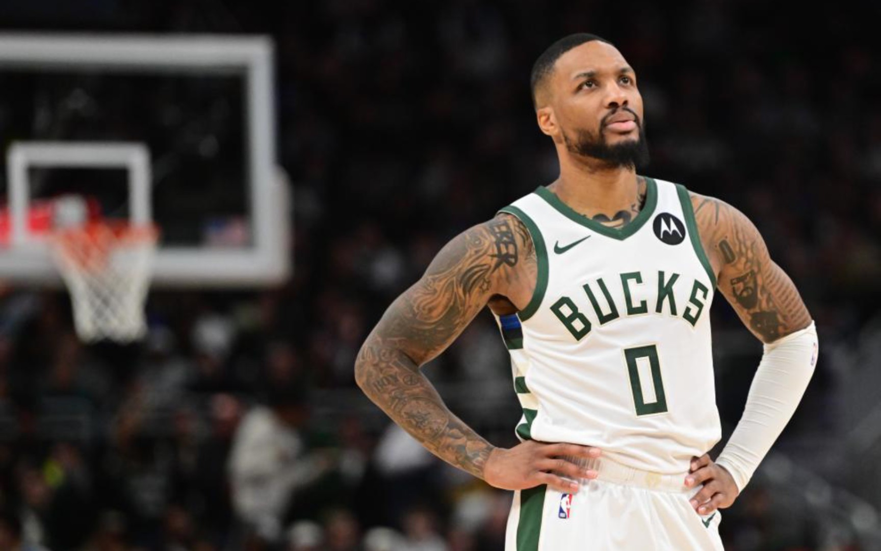 的坚实基础 的坚实基础