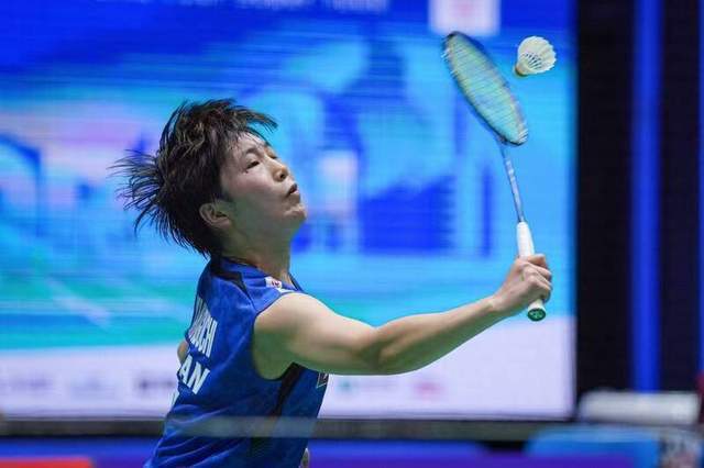 他们在去年 他们在去年